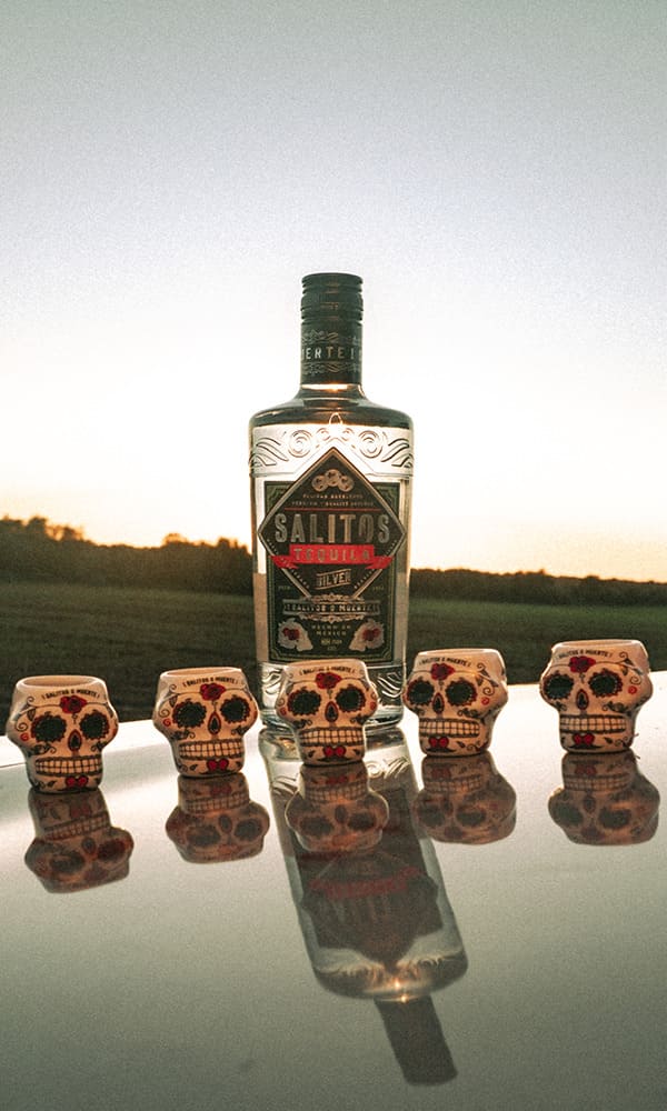 Magazin Online De Bauturi Alcoolice - La-Bax